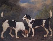 George Stubbs A Couple of Foxhounds oil painting on canvas